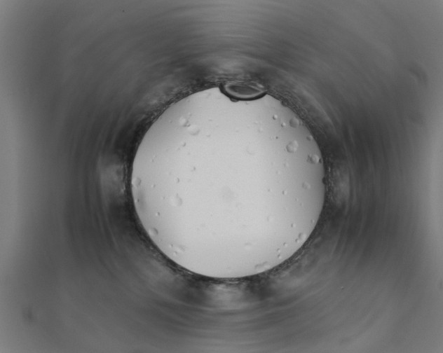 X0000111230232200907301252
