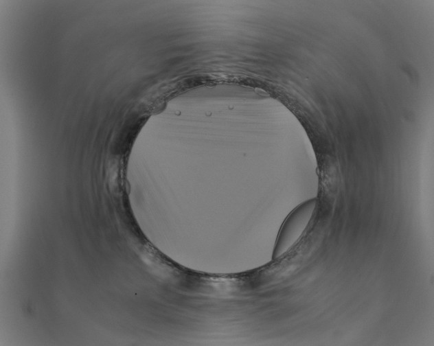 X0000111230233200907301252