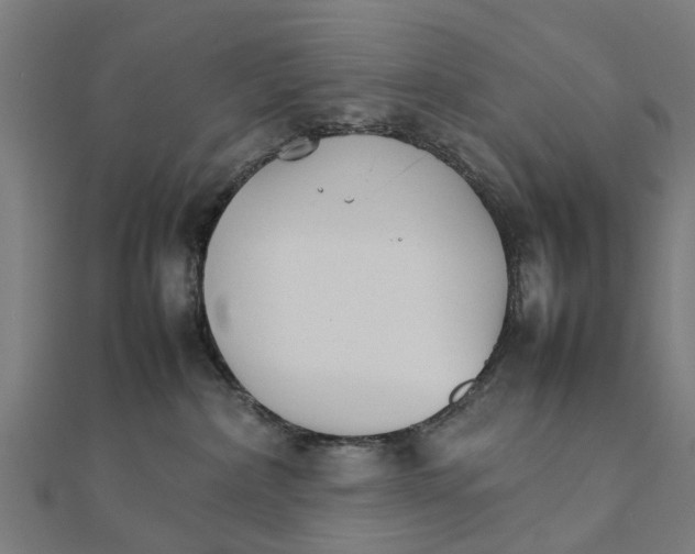 X0000111230236200907301252