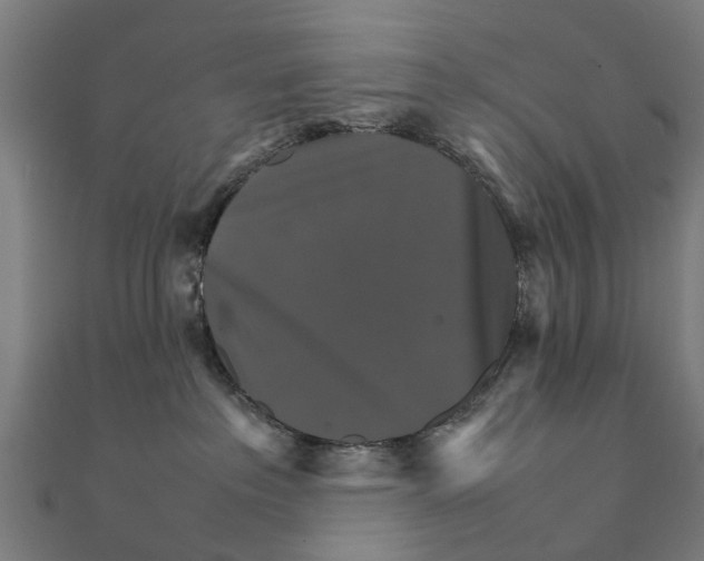 X0000111230237200907301252