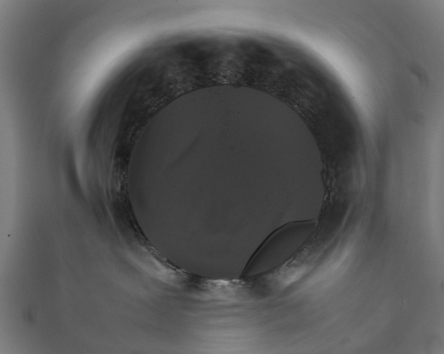 X0000111230239200907301252