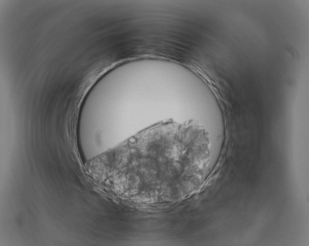 X0000111230241200907301251
