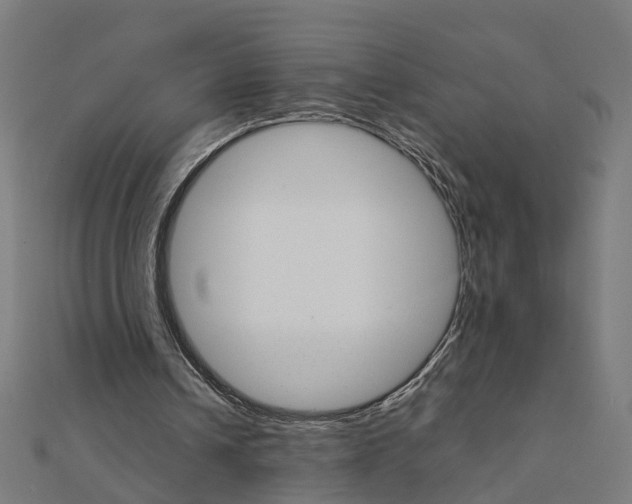 X0000111230242200907301251