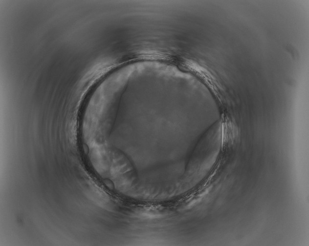 X0000111230243200907301251