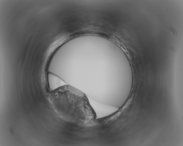 X0000111230245200907301251