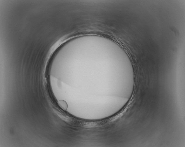 X0000111230246200907301251