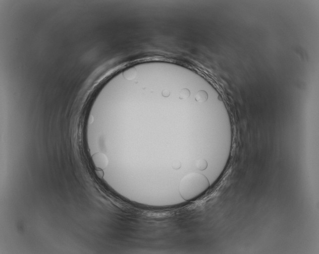 X0000111230247200907301252