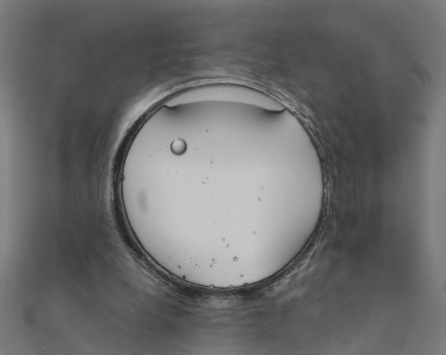X0000111230248200907301252