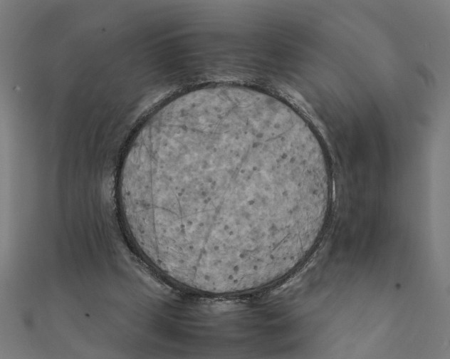 X0000111230249200907301252