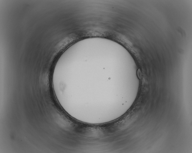 X0000111230250200907301252