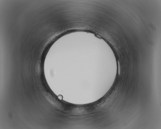 X0000111230252200907301252