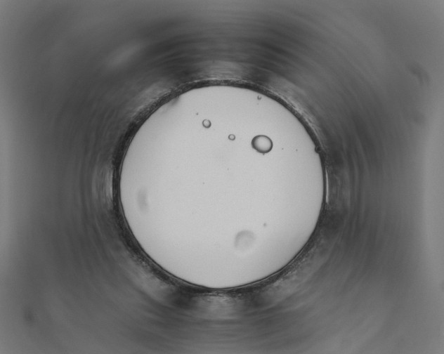 X0000111230253200907301252