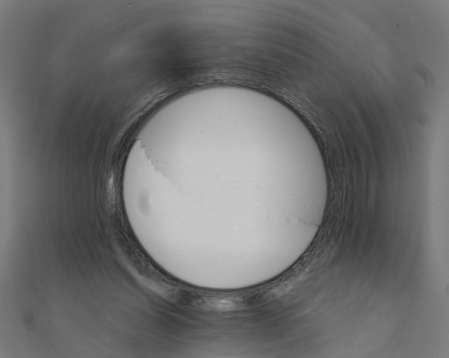 X0000111230254200907301252