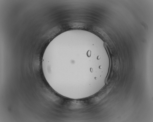 X0000111230261200907301252