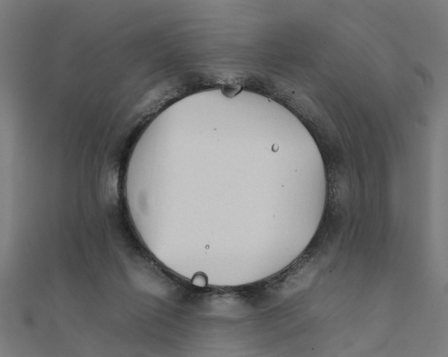 X0000111230262200907301252