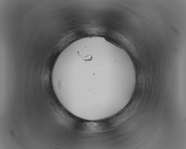 X0000111230265200907301252