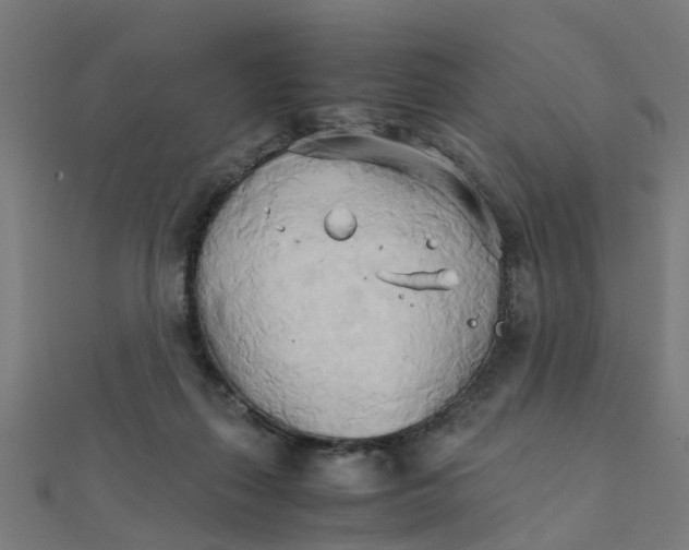 X0000111230267200907301252