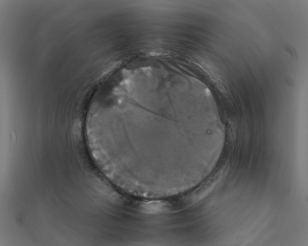 X0000111230269200907301252