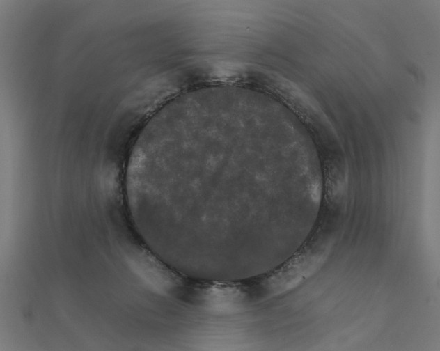 X0000111230270200907301252