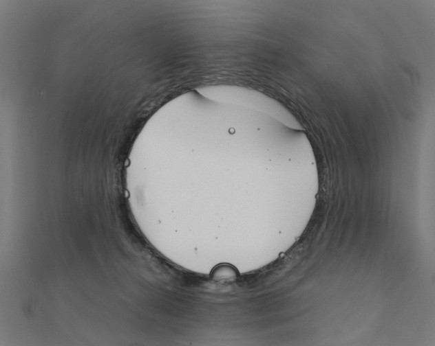 X0000111230272200907301252