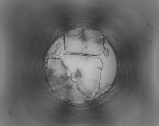 X0000111230273200907301252