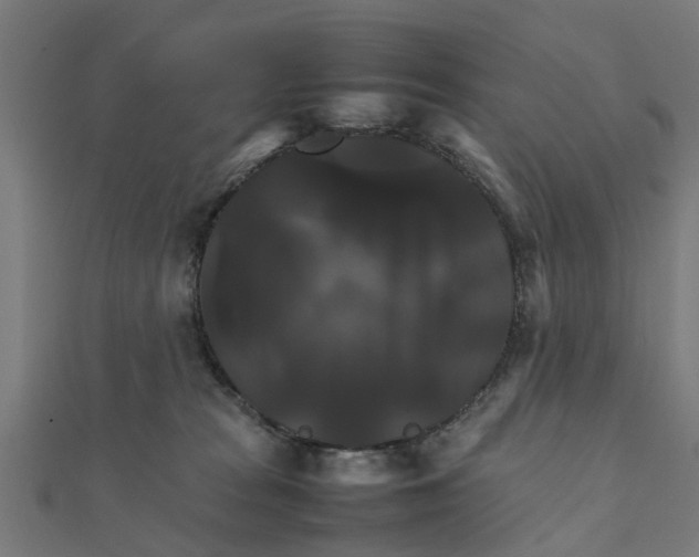 X0000111230277200907301252