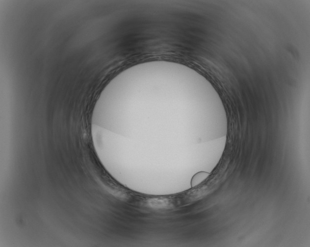 X0000111230279200907301252