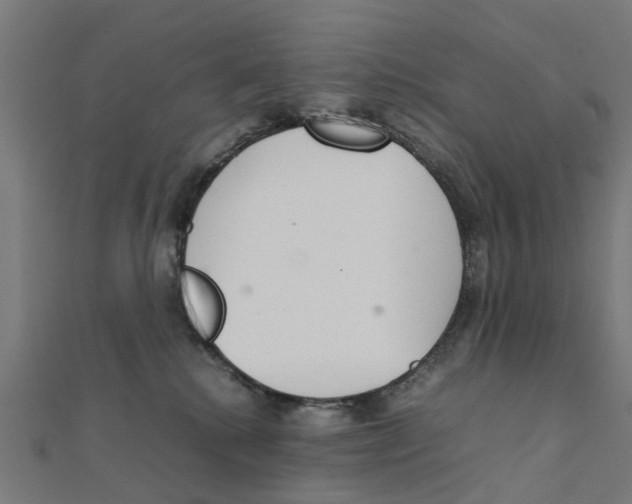 X0000111230280200907301252