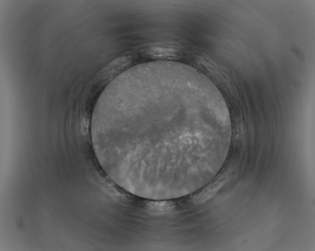 X0000111230281200907301252
