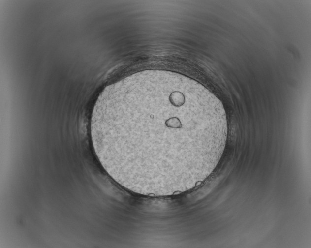 X0000111230282200907301252