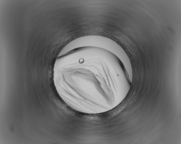 X0000111230284200907301252