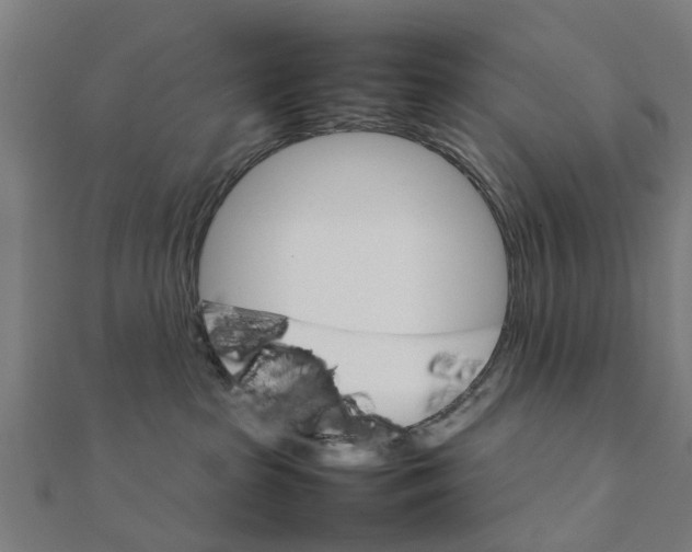 X0000111230285200907301252