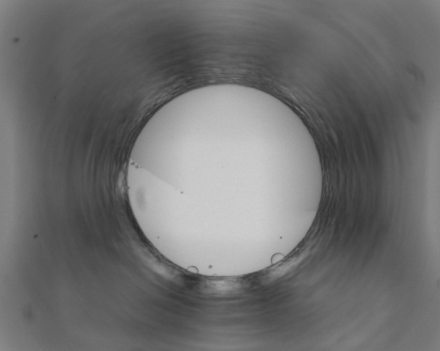 X0000111230286200907301252