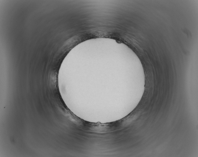 X0000111230288200907301252