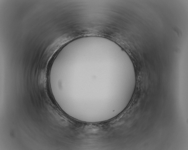 X0000111230290200907301251