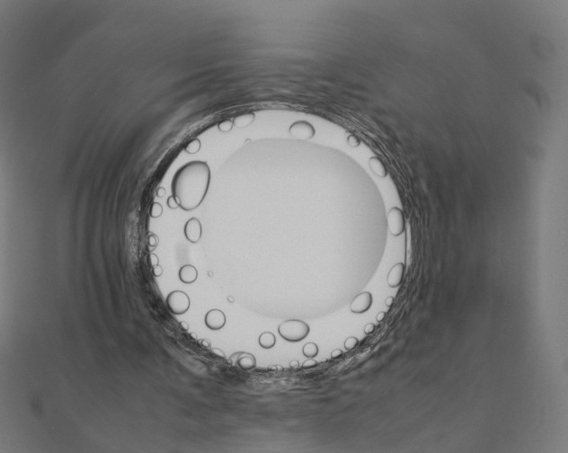 X0000111230291200907301251