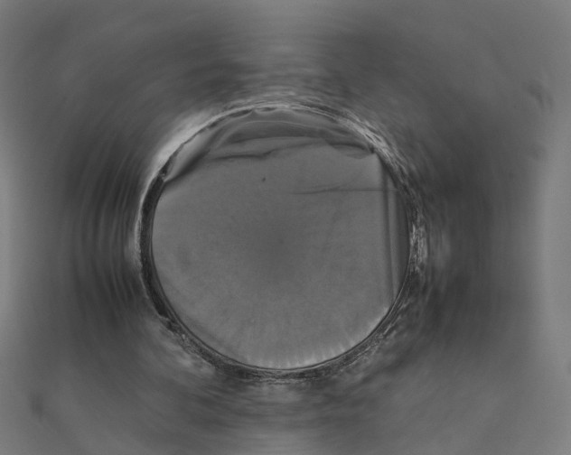 X0000111230292200907301251
