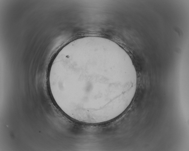 X0000111230293200907301251