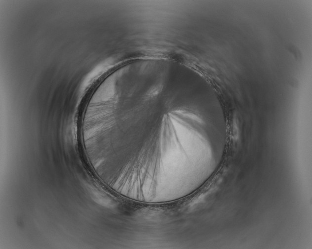 X0000111230294200907301251