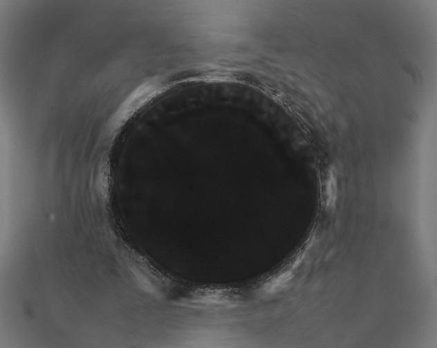 X0000111230295200907301251