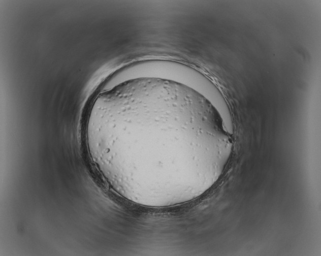 X0000111230296200907301251