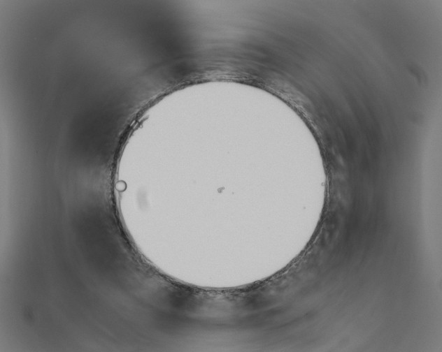 X0000111230297200907301251