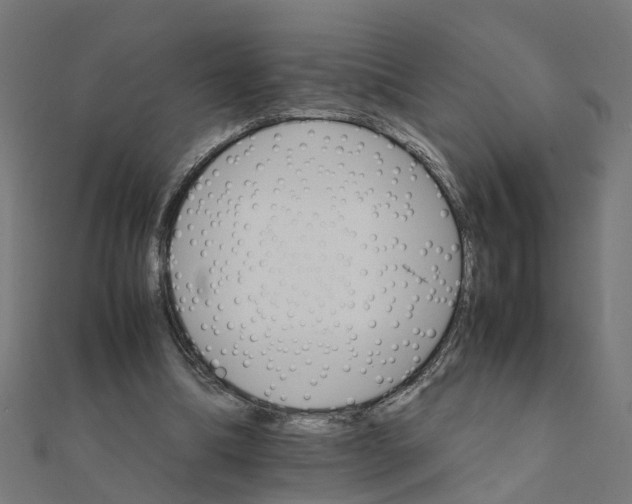 X0000111230298200907301251