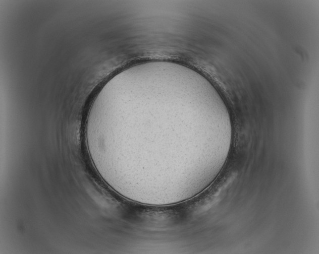 X0000111230299200907301251