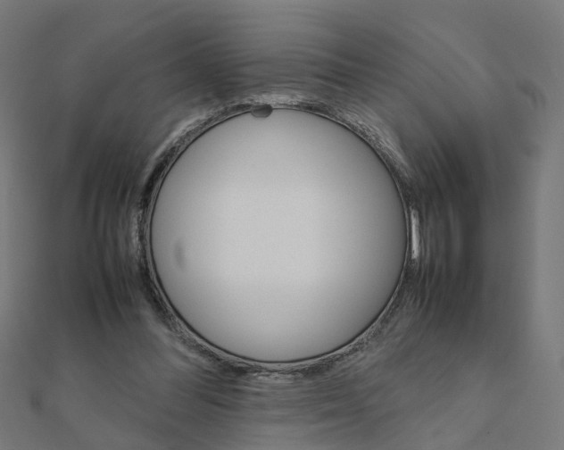 X0000111230300200907301251