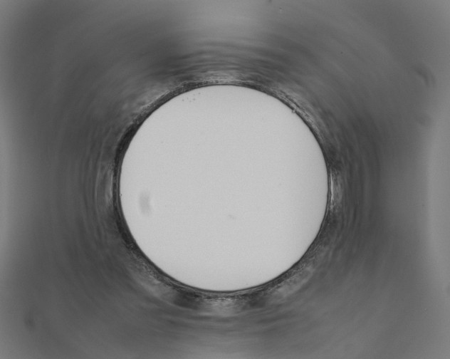 X0000111230301200907301251