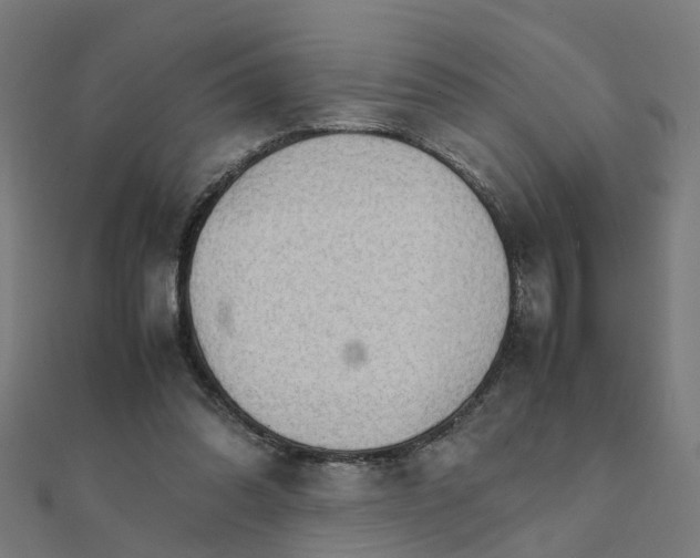 X0000111230302200907301251