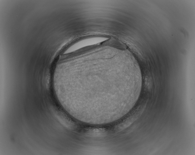 X0000111230304200907301251
