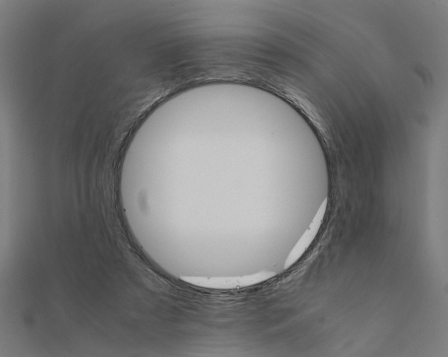 X0000111230305200907301251