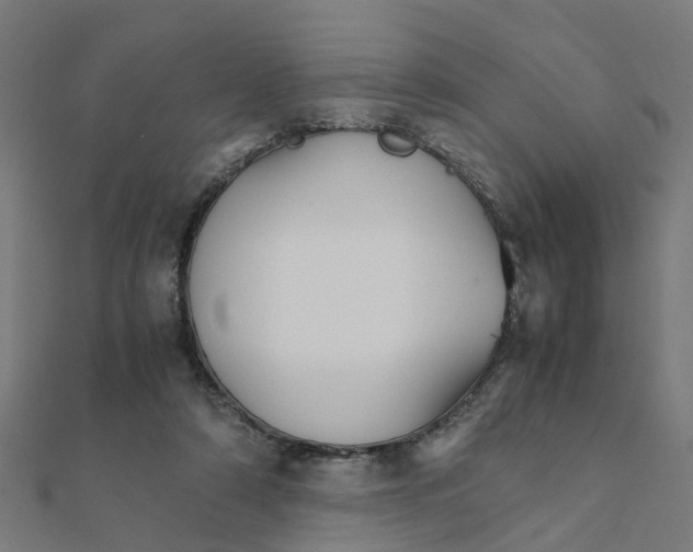 X0000111230306200907301251
